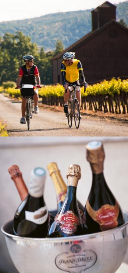 Wine Country Biking Trips